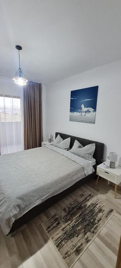 La Andrei Appartement Bistriţa Buitenkant foto